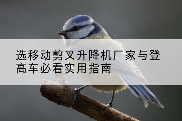 安徽电动升降机厂家-选移动剪叉升降机厂家与登高车必看实用指南