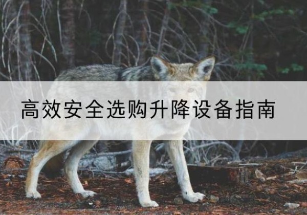安徽升降货梯厂家推荐-*安全选购升降设备指南